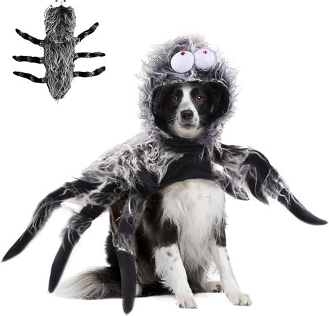 dog spider costume|giant spider dog costume amazon.